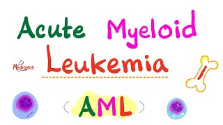 Acute Myeloid Leukemia AML  Auer Rods  Myeloperoxidase Positive  Hematology amp Oncology Series [upl. by Socem]