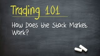 Trading 101 How Does the Stock Market Work [upl. by Harold]