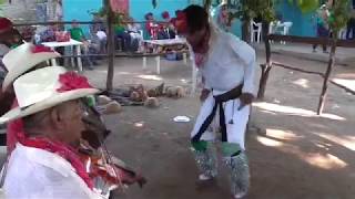 danza de pascolaen comunidad de guaymitas navojoa sonorason el pajaro carpintero [upl. by Bertold]