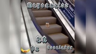 Mayonnaise on an escalator Full lyrics [upl. by Yelssew]