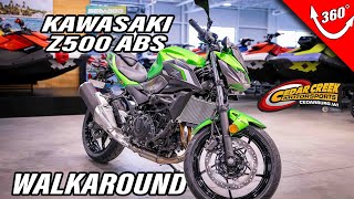 2024 Kawasaki Z500 ABS Walk Around First Look [upl. by Norrehs41]