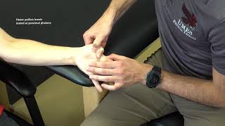 Manual Muscle Test Thumb Flexion [upl. by Edda]