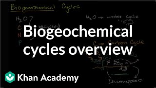 Biogeochemical cycles  Ecology  Khan Academy [upl. by Saiasi]