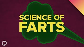 The Science of Farts [upl. by Nilekcaj]