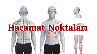 Hacamat Noktaları Nelerdir [upl. by Hannazus]