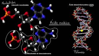 Señales Analógicas y Señales Digitales Educación Tecnológica  NES 2do año [upl. by Nylrak]