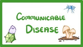 GCSE Biology  Communicable Disease 34 [upl. by Alvera385]