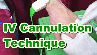 How to Insert IV Cannula  IV Cannulation Technique  Branula  Intravenous Catheter [upl. by Wilmott588]