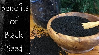 Benefits of Black Seed Nigella Sativa [upl. by Namyh]