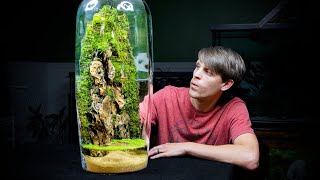 Giant Moss Dripwall Terrarium with a Pond [upl. by Anahir408]