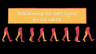 Explaining the Gait Cycle for the NPTE [upl. by Nnaeitak]