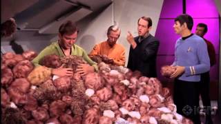 Star Trek The Original Series  1771561 Tribbles [upl. by Ehttam241]