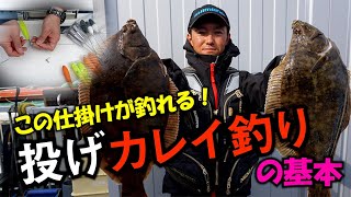 この仕掛けが釣れる！ 投げカレイ釣りの基本（思わぬ大物も）Japanese flatfish fishing！ [upl. by Encratis]