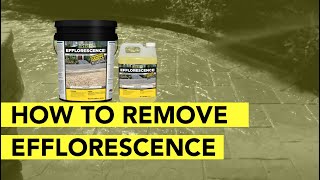 How To Remove Efflorescence From Pavers In 4 Simple Steps [upl. by Charlotte17]