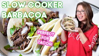 Slow Cooker Barbacoa TEXAS Style [upl. by Annaiv]