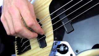 Right hand technique for Bass Raking amp Alternate plucking  L37 [upl. by Acinomed300]