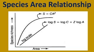 Species Area Relationship [upl. by Keever]