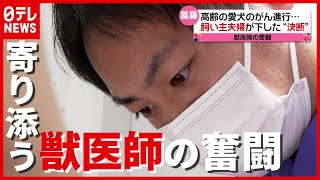 「安楽死は考えてない」“別れの瞬間”まで寄り添う獣医師の奮闘（2021年6月14日放送「news every」より） [upl. by Calbert]