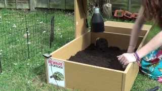 Setting Up A Mediterranean Tortoise Enclosure [upl. by Fihsak876]