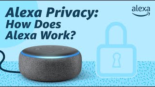 Alexa Privacy How Does Alexa Work [upl. by Tiffany]