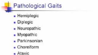 Gait Examination Anatomy  Localizing Value [upl. by Bowman]