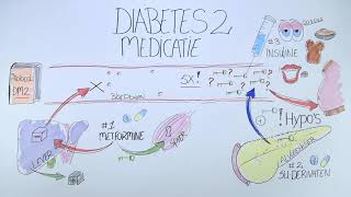 Diabetes type 2  Medicatie [upl. by Fredette]