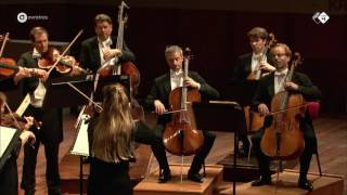 Elgar Serenade for Strings  Concertgebouw Chamber Orchestra  Live concert HD [upl. by Eiramlatsyrc]