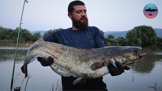 Sakarya Nehri Balık Avı  Yayın Avı [upl. by Whelan533]