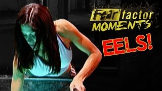 Fear Factor Moments  Electric Eels [upl. by Illil]