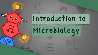 Introduction To Microbiology [upl. by Hsur121]