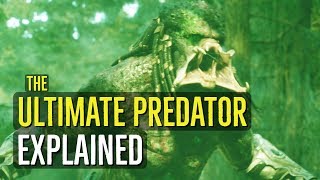 The Ultimate Predator THE YAUTJA Explained [upl. by Oos575]