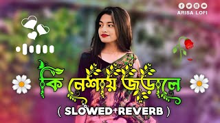 কি নেশায় জড়ালে  Ki Nesha Jhorale  SlowedReverb  Bangla Lofi Gan  Balam New Song  Arisa Lofi [upl. by Ttevy]