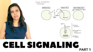 Cell Signaling Overview  Part 1 [upl. by Neffirg]