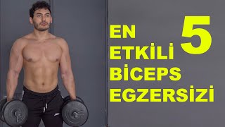 EN ETKİLİ 5 BİCEPS EGZERSİZİ  Ön Kol Kaslarını Geliştir [upl. by Swec]