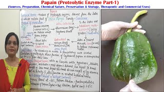 Class 107  Proteolytic Enzyme Part 01  Papain Source Preparation Chemistry Test amp Use [upl. by Haonam844]