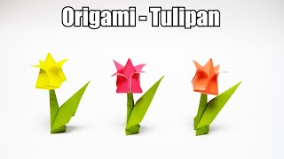 Origami  Tulipan REMAKE [upl. by Herve]