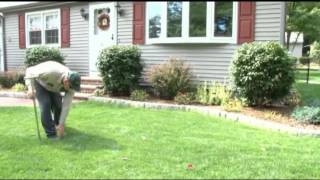 Lawn Aeration and Overseeding Lawn Care Tips [upl. by Adnohser]