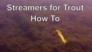 The Orvis Guide to Fly Fishing Streamers [upl. by Lamori326]