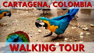 Cartagena Colombia Cruise Port Walking Tour [upl. by Pepita399]