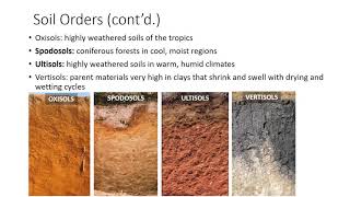 Soil Classification and Survey [upl. by Beyer]