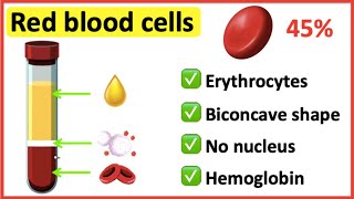 Red blood cells  What do red blood cells do [upl. by Alsi156]