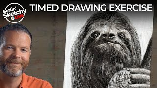 How to Draw a Sloth  Timed Drawing Exercise [upl. by Aihc]