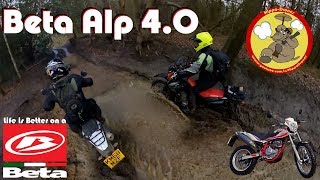 Beta Alp 40  500 Mile Review amp Thoughts [upl. by Minica162]