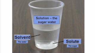 Solute and Solvent  Dissolving [upl. by Amluz56]