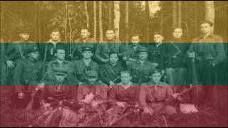 Alyte Lithuanian song of freedom [upl. by Erle272]