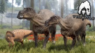 A Dinosaur Family  Life of a Maiasaura  The isle [upl. by Rew573]