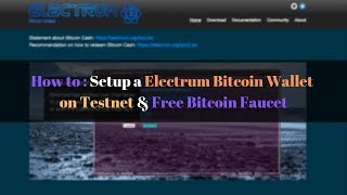 How to Setup a Electrum Bitcoin Wallet on Testnet  Free Bitcoin Faucet  PIAIC [upl. by Jenn]