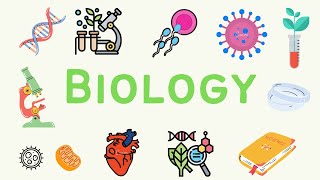 1 A Level Biology  Biological Molecules [upl. by Eissej]