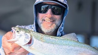 Lake Berryessa Fishing Report [upl. by Siuqramed]