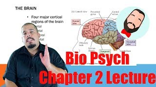 Biological Psychology Chapter 2 Lecture [upl. by Kristoforo219]